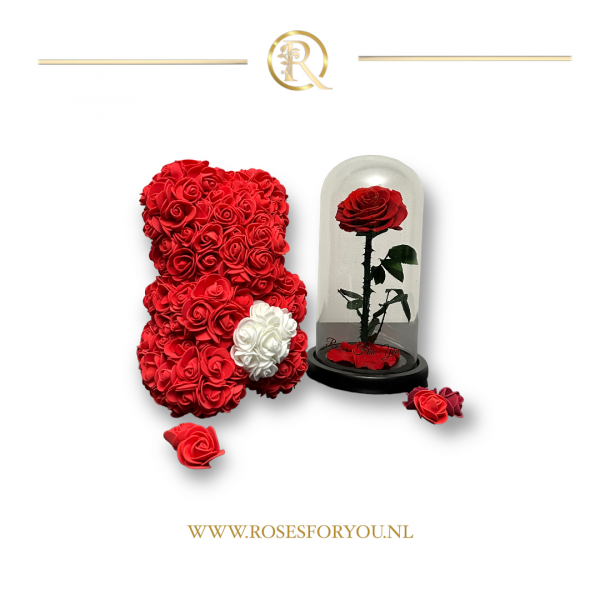 Rosesforyou Rozenbeer royaal rood met wit hart en een belle roos roos in glazen stolp