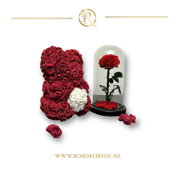 Rosesforyou Rozenbeer royaal Bordeaux rood met wit hart en een belle roos roos in glazen stolp